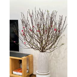 Bình hoa Atlantis đẹp giá rẻ Bát Tràng, lọ hoa decor gốm xuất khẩu đẹp, quà tặng gốm sứ 5