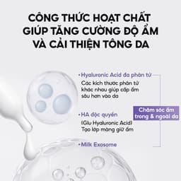 Kem Dưỡng Hỗ Trợ Làm Sáng Và Cải Thiện Nếp Nhăn 7% Melatonin Liposome Maxclinic Melatoninshot Cream 50ml - WANYI 6
