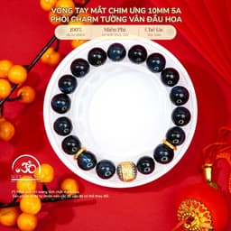 Ngọc Đan Tâm - Vòng Tay Mắt Chim Ưng 10mm 5A Phối Charm Tường Vân Đầu Hoa - Mệnh Thuỷ & Mệnh Mộc 1