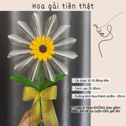[Tặng túi+ thiệp]Hoa gài tiền ,cốt hoa làm quà tặng 8/3,món quà ý nghĩa cho mẹ và bạn gái 6