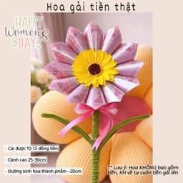 [Tặng túi+ thiệp]Hoa gài tiền ,cốt hoa làm quà tặng 8/3,món quà ý nghĩa cho mẹ và bạn gái 3