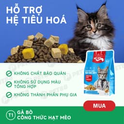 Thức Ăn Cho Mèo MR.VET T1 Holistic Gói 1KG chăm sóc hệ tiêu hoá Cho Mèo Mọi Lứa Tuổi - MÉO CHÒ UNI 5