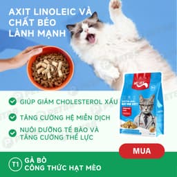 Thức Ăn Cho Mèo MR.VET T1 Holistic Gói 1KG chăm sóc hệ tiêu hoá Cho Mèo Mọi Lứa Tuổi - MÉO CHÒ UNI 3