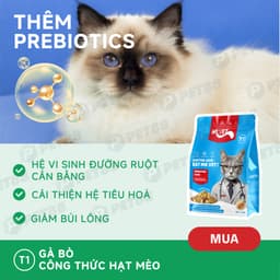 Thức Ăn Cho Mèo MR.VET T1 Holistic Gói 1KG chăm sóc hệ tiêu hoá Cho Mèo Mọi Lứa Tuổi - MÉO CHÒ UNI 2