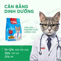 Thức Ăn Cho Mèo MR.VET T1 Holistic Gói 1KG chăm sóc hệ tiêu hoá Cho Mèo Mọi Lứa Tuổi - MÉO CHÒ UNI 4