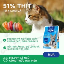Thức ăn hạt cho mèo MR.VET T3 1KG Cải Thiện Đường Tiết Niệu Cho Mèo Mọi Lứa Tuổi - MÉO CHÒ UNI 5