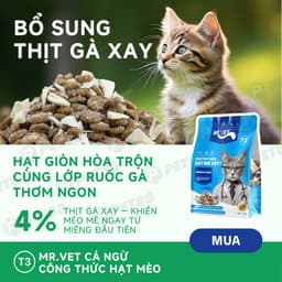 Thức ăn hạt cho mèo MR.VET T3 1KG Cải Thiện Đường Tiết Niệu Cho Mèo Mọi Lứa Tuổi - MÉO CHÒ UNI 3