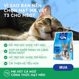 Thức ăn hạt cho mèo MR.VET T3 1KG Cải Thiện Đường Tiết Niệu Cho Mèo Mọi Lứa Tuổi - MÉO CHÒ UNI 7