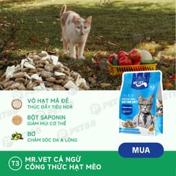 Thức ăn hạt cho mèo MR.VET T3 1KG Cải Thiện Đường Tiết Niệu Cho Mèo Mọi Lứa Tuổi - MÉO CHÒ UNI 6