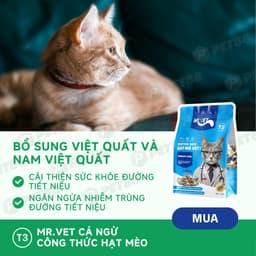 Thức ăn hạt cho mèo MR.VET T3 1KG Cải Thiện Đường Tiết Niệu Cho Mèo Mọi Lứa Tuổi - MÉO CHÒ UNI 4