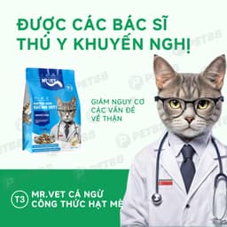 Thức ăn hạt cho mèo MR.VET T3 1KG Cải Thiện Đường Tiết Niệu Cho Mèo Mọi Lứa Tuổi - MÉO CHÒ UNI 2