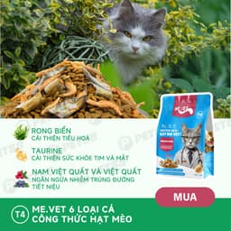 Thức ăn cho mèo MR.VET T4 gói 1kg Công thức 6 loại cá Cá ngừ, Cá hồi, Cá Bonito - MÉO CHÒ UNI 7