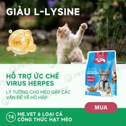 Thức ăn cho mèo MR.VET T4 gói 1kg Công thức 6 loại cá Cá ngừ, Cá hồi, Cá Bonito - MÉO CHÒ UNI 6