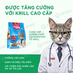 Thức ăn cho mèo MR.VET T4 gói 1kg Công thức 6 loại cá Cá ngừ, Cá hồi, Cá Bonito - MÉO CHÒ UNI 5
