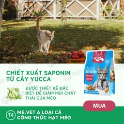 Thức ăn cho mèo MR.VET T4 gói 1kg Công thức 6 loại cá Cá ngừ, Cá hồi, Cá Bonito - MÉO CHÒ UNI 2