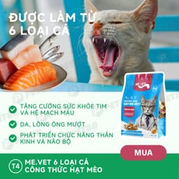 Thức ăn cho mèo MR.VET T4 gói 1kg Công thức 6 loại cá Cá ngừ, Cá hồi, Cá Bonito - MÉO CHÒ UNI 4