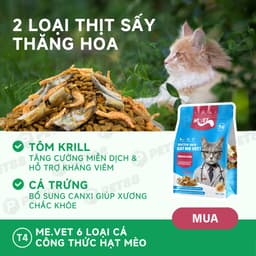 Thức ăn cho mèo MR.VET T4 gói 1kg Công thức 6 loại cá Cá ngừ, Cá hồi, Cá Bonito - MÉO CHÒ UNI 3