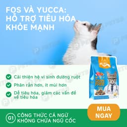 Hạt cho mèo MR.VET G1 gói 1kg Không Độn Ngũ Cốc Grain Free vị Cá Ngừ, Có Topping Thịt - MÉO CHÒ UNI 4