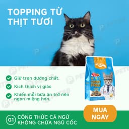 Hạt cho mèo MR.VET G1 gói 1kg Không Độn Ngũ Cốc Grain Free vị Cá Ngừ, Có Topping Thịt - MÉO CHÒ UNI 3