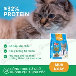 Hạt cho mèo MR.VET G1 gói 1kg Không Độn Ngũ Cốc Grain Free vị Cá Ngừ, Có Topping Thịt - MÉO CHÒ UNI 2