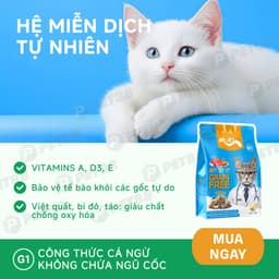 Hạt cho mèo MR.VET G1 gói 1kg Không Độn Ngũ Cốc Grain Free vị Cá Ngừ, Có Topping Thịt - MÉO CHÒ UNI 6