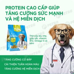 Thức Ăn Hạt Cho Chó MR.VET D1 gói 1.4kg Vị Thịt Cừu Non Hỗ Trợ Tiêu Hóa - MÉO CHÒ UNI 4