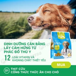 Thức Ăn Hạt Cho Chó MR.VET D1 gói 1.4kg Vị Thịt Cừu Non Hỗ Trợ Tiêu Hóa - MÉO CHÒ UNI 6