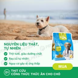 Thức Ăn Hạt Cho Chó MR.VET D1 gói 1.4kg Vị Thịt Cừu Non Hỗ Trợ Tiêu Hóa - MÉO CHÒ UNI 7