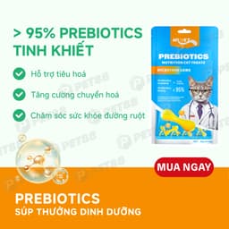 Súp Thưởng MR.VET Cho Mèo 60g (gói 4Thanh15g ) đủ 3 vị Omega/Vitamin/Lysine - MÉO CHÒ UNI 3