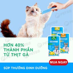 Súp Thưởng MR.VET Cho Mèo 60g (gói 4Thanh15g ) đủ 3 vị Omega/Vitamin/Lysine - MÉO CHÒ UNI 5
