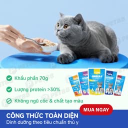 Pate Cho Mèo MR.VET Gói 70G 51% Thịt chất lượng ĐỦ 10 VỊ - MÉO CHÒ UNI 4