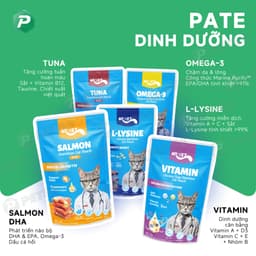 Pate Cho Mèo MR.VET Gói 70G 51% Thịt chất lượng ĐỦ 10 VỊ - MÉO CHÒ UNI 2