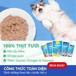 Pate Cho Mèo MR.VET Gói 70G 51% Thịt chất lượng ĐỦ 10 VỊ - MÉO CHÒ UNI 5