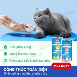 Pate lon cho mèo MR.VET 400G đủ 8 vị hỗ trợ Tiêu Hóa, Sáng Mắt, Mượt Lông - MÉO CHÒ UNI 4