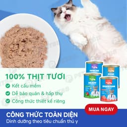 Pate lon cho mèo MR.VET 400G đủ 8 vị hỗ trợ Tiêu Hóa, Sáng Mắt, Mượt Lông - MÉO CHÒ UNI 5