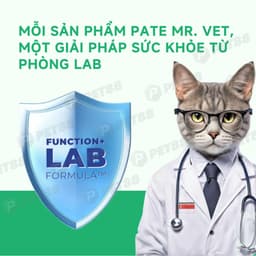 Pate lon cho mèo MR.VET 400G đủ 8 vị hỗ trợ Tiêu Hóa, Sáng Mắt, Mượt Lông - MÉO CHÒ UNI 7