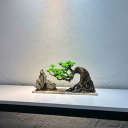 Layout Thuỷ Sinh Bonsai Ver.7 | Layout Thuỷ Sinh Trang Trí Bể Cá Thêm Xanh Mát | RF Aquarium 4