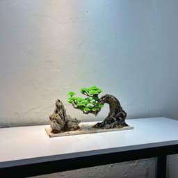 Layout Thuỷ Sinh Bonsai Ver.7 | Layout Thuỷ Sinh Trang Trí Bể Cá Thêm Xanh Mát | RF Aquarium 2