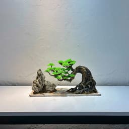 Layout Thuỷ Sinh Bonsai Ver.7 | Layout Thuỷ Sinh Trang Trí Bể Cá Thêm Xanh Mát | RF Aquarium 5