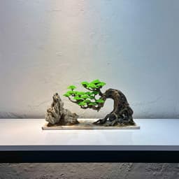 Layout Thuỷ Sinh Bonsai Ver.7 | Layout Thuỷ Sinh Trang Trí Bể Cá Thêm Xanh Mát | RF Aquarium 3