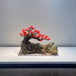 Aquascape Bonsai Ver.8 Gắn Sẵn Tán Rêu Màu Đỏ | Dùng Setup Bể Cá Thuỷ Sinh | RF Aquarium 2