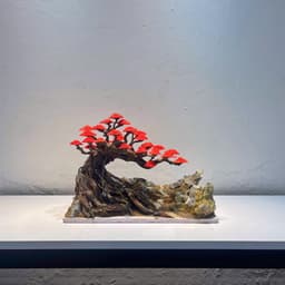 Aquascape Bonsai Ver.8 Gắn Sẵn Tán Rêu Màu Đỏ | Dùng Setup Bể Cá Thuỷ Sinh | RF Aquarium 4