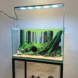 Layout Thuỷ Sinh Rừng Ver.10 | Chế Tác Thủ Công Từ Gỗ Lũa Tự Nhiên | RF Aquarium 4
