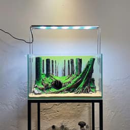 Layout Thuỷ Sinh Rừng Ver.10 | Chế Tác Thủ Công Từ Gỗ Lũa Tự Nhiên | RF Aquarium 2