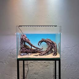 Layout Thuỷ Sinh Hẻm Núi Ver.2 | Nghệ Thuật Tái Tạo Cảnh Quan Điểm Nhấn Cho Bể Thuỷ Sinh | RF Aquarium 2