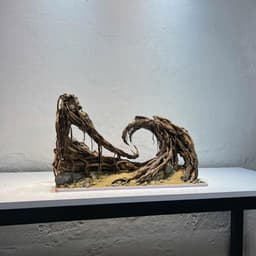 Layout Thuỷ Sinh Hẻm Núi Ver.2 | Nghệ Thuật Tái Tạo Cảnh Quan Điểm Nhấn Cho Bể Thuỷ Sinh | RF Aquarium 7