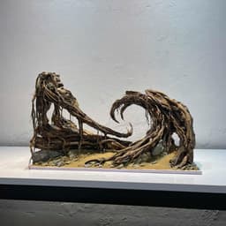 Layout Thuỷ Sinh Hẻm Núi Ver.2 | Nghệ Thuật Tái Tạo Cảnh Quan Điểm Nhấn Cho Bể Thuỷ Sinh | RF Aquarium 8