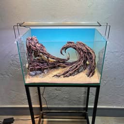 Layout Thuỷ Sinh Hẻm Núi Ver.2 | Nghệ Thuật Tái Tạo Cảnh Quan Điểm Nhấn Cho Bể Thuỷ Sinh | RF Aquarium 4
