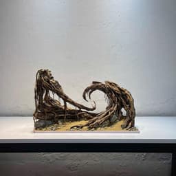 Layout Thuỷ Sinh Hẻm Núi Ver.2 | Nghệ Thuật Tái Tạo Cảnh Quan Điểm Nhấn Cho Bể Thuỷ Sinh | RF Aquarium 9