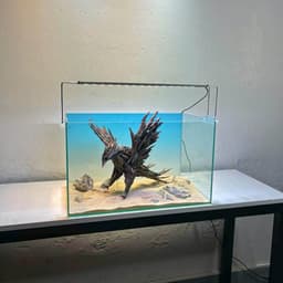 Limited I Aquascape Đại Bàng Chế Tác Thủ Công Từ Gỗ Lũa Tự Nhiên Trang Trí Bể Cá | RF Aquarium 3